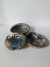 Abalone Shell